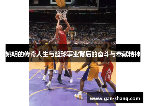 姚明的传奇人生与篮球事业背后的奋斗与奉献精神