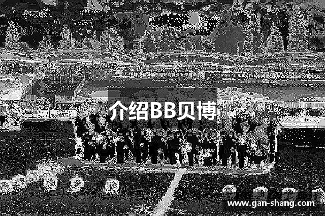 介绍BB贝博